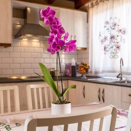 Casa Quintana - Apartamento Carla Tijarafe Luaran gambar